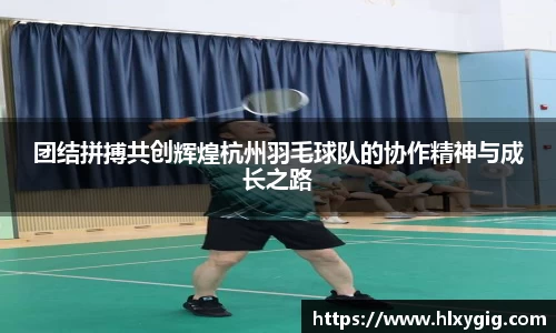 团结拼搏共创辉煌杭州羽毛球队的协作精神与成长之路
